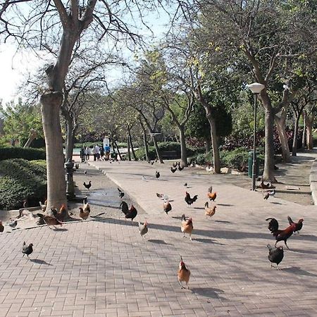 Apartamento Playa Benalmadena Las Golondrinas Екстер'єр фото